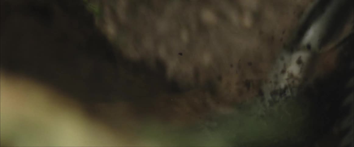 Bicycle turns sharply its tires kicking up dirt