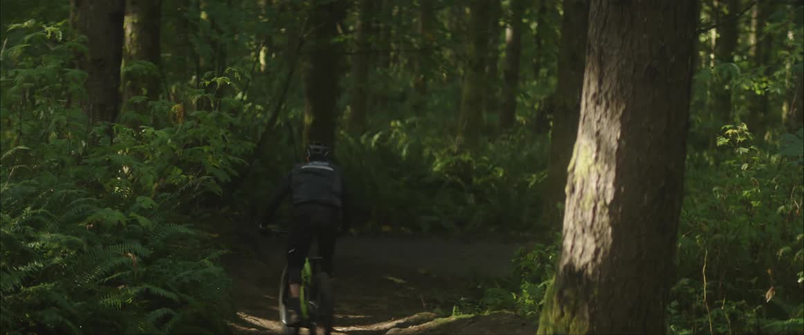A male mountain bikes on a path in a forest