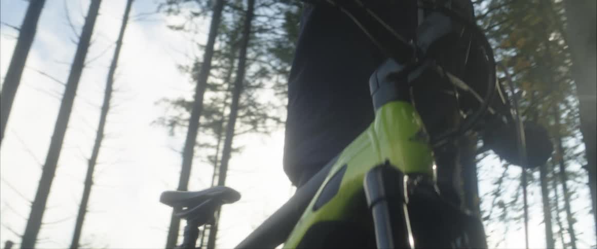 Bicyclist wearing a helmet pushes bicycle through conifer forest as sun shines through trees