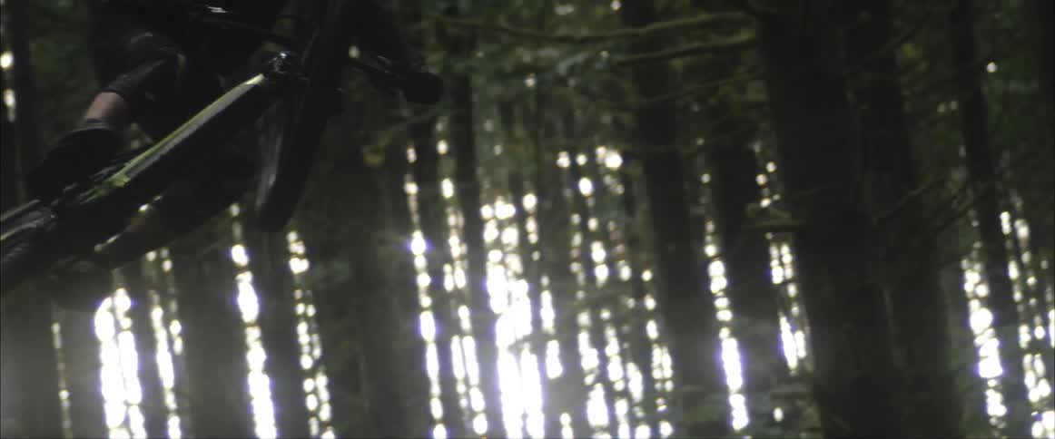 A mountain biker makes a jump off a forest trail