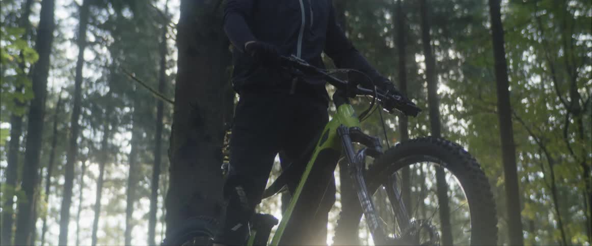 Bicyclist wearing helmet stands straddling bicycle in forest as suns shines through tree trunks