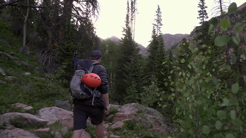 A hiker walks up a mountain towards a forest carrying gear