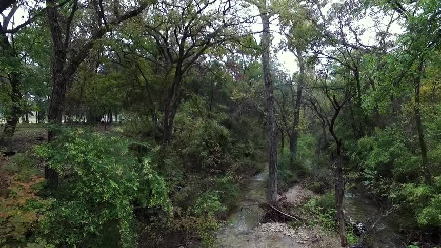 Moving over a small stream in the woods
