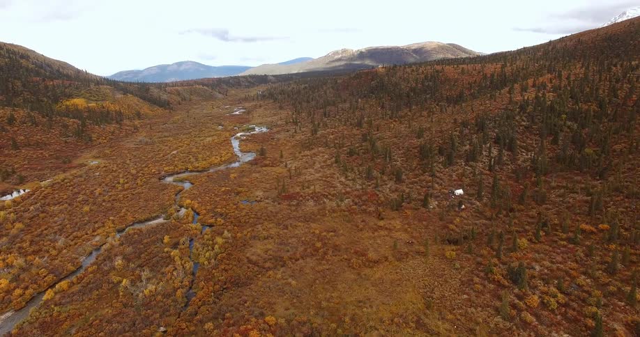 Aerial view of a creek through a brownish wilderness