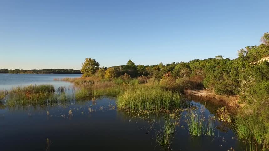 Grasses grow in the water beside the shore just before a waterfall
