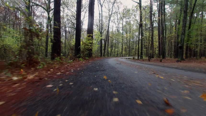 Traveling view down a dirt road in the country