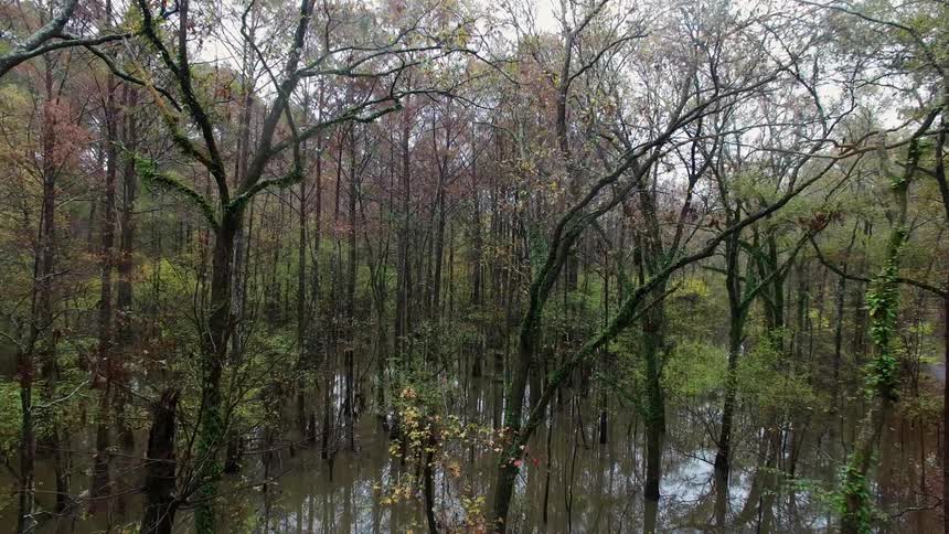Texas Nature
