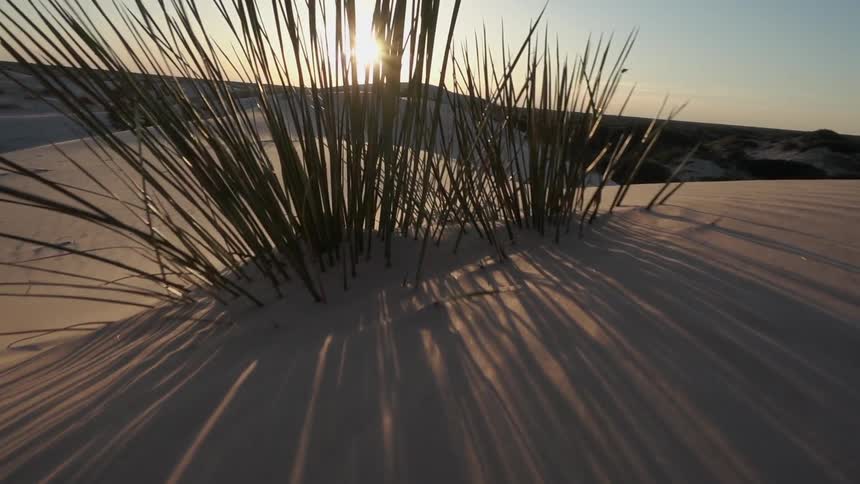 Spiky grass pokes up out of some snow after sunrise