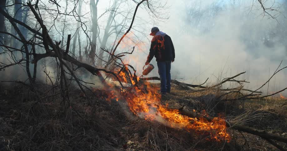 A man is burning underbrush in a woodland area using a propane torch during the day