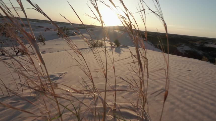The sun is setting on a desert