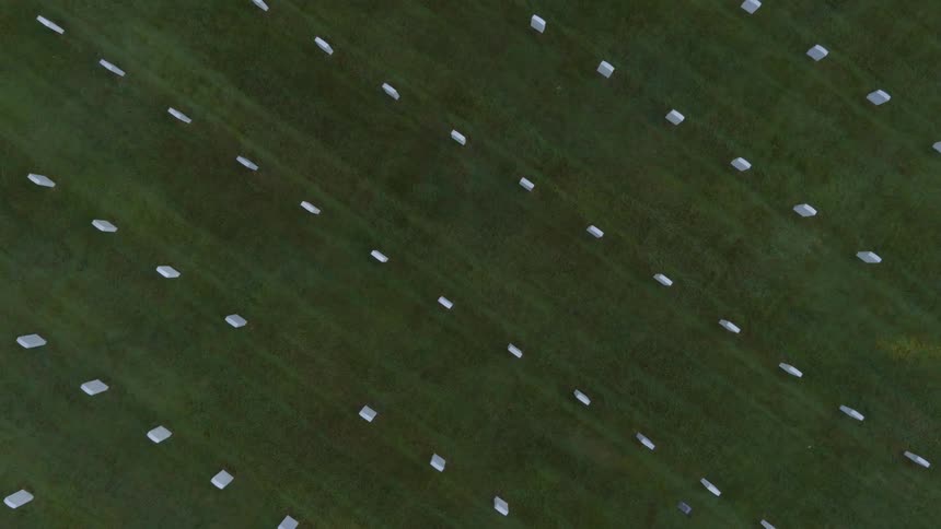Descending towards white granite headstones set against lush green grass