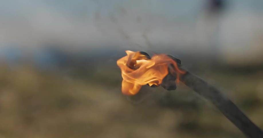Torch producing flames