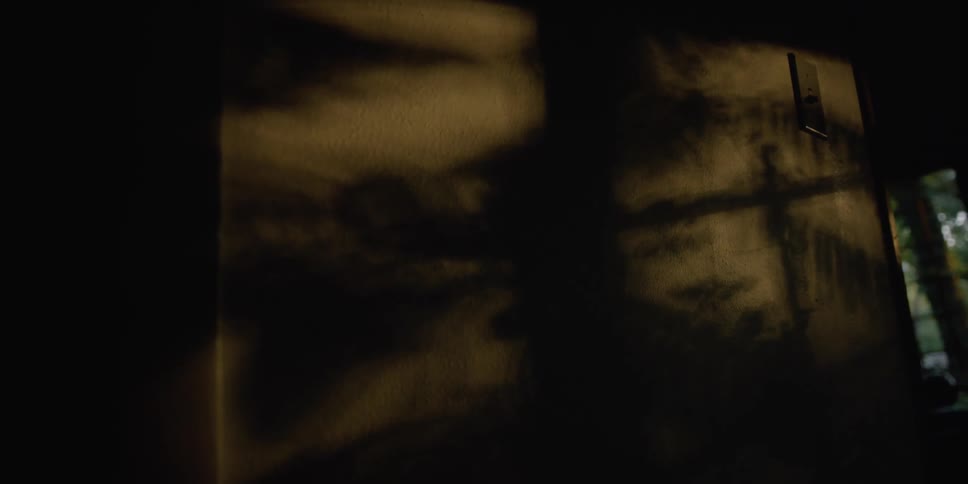 Light cases shadows of plants onto panel in dark room with second window in background