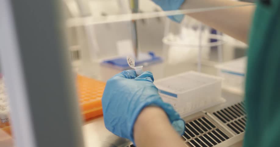A person in medical gloves moves a solution from one container to another using a pipette