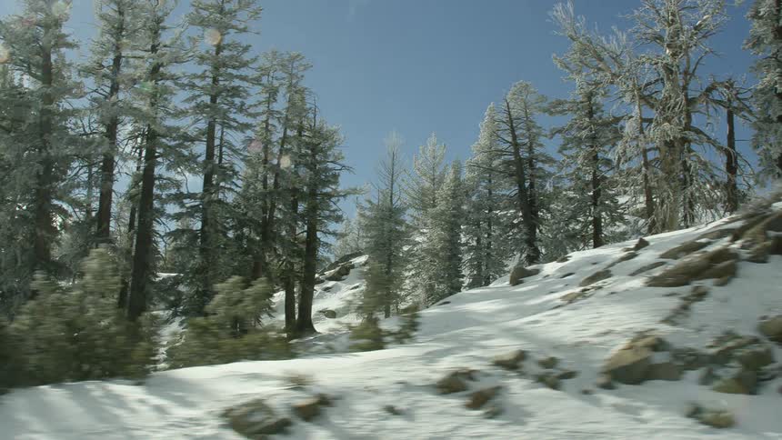 The sun shines above a snow covered forested landscape