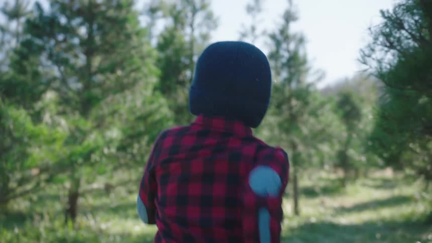A boy is running along a pathway in a grove during the day in the fall season