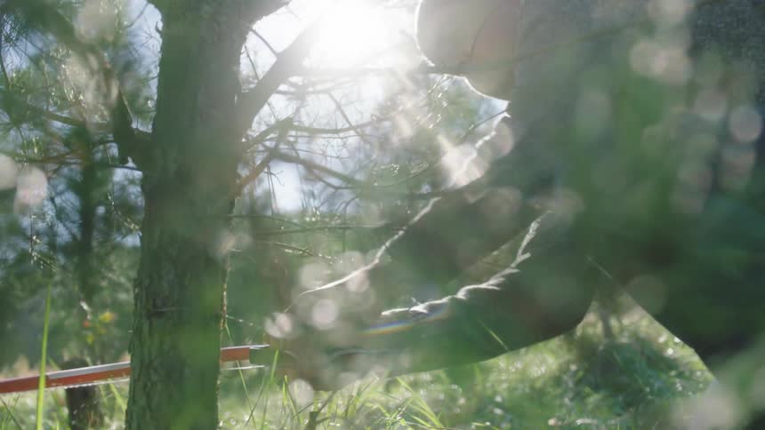 A man uses a saw and cuts at a tree in a wooded area