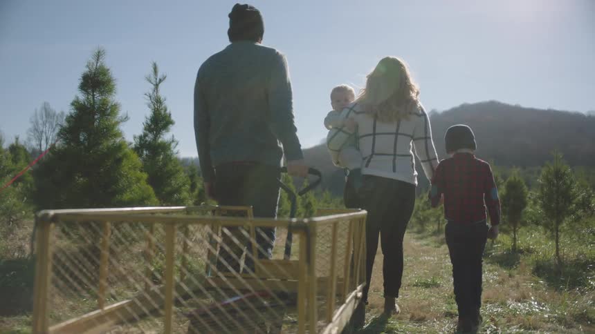 A family of four people walking to get a tree in a forest