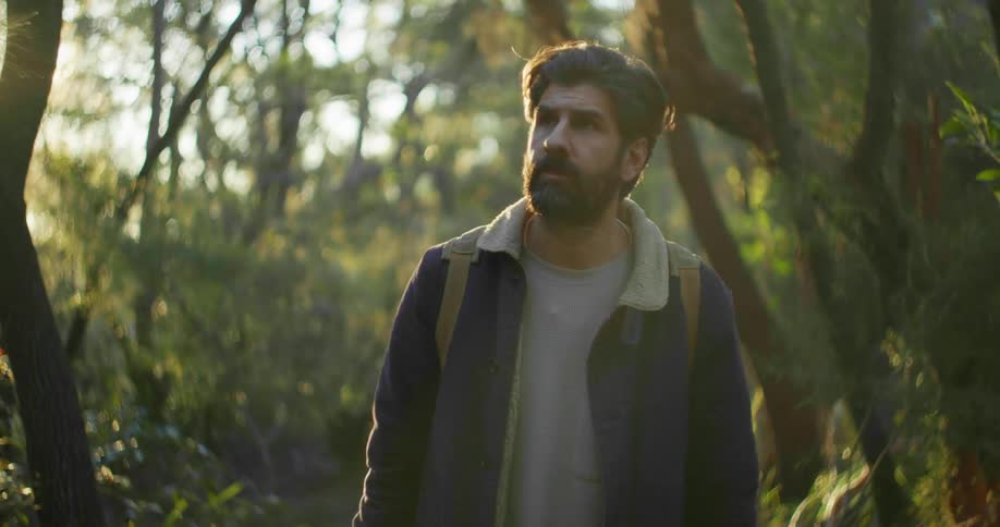 A man slowly walks through a forest looking at everything around him