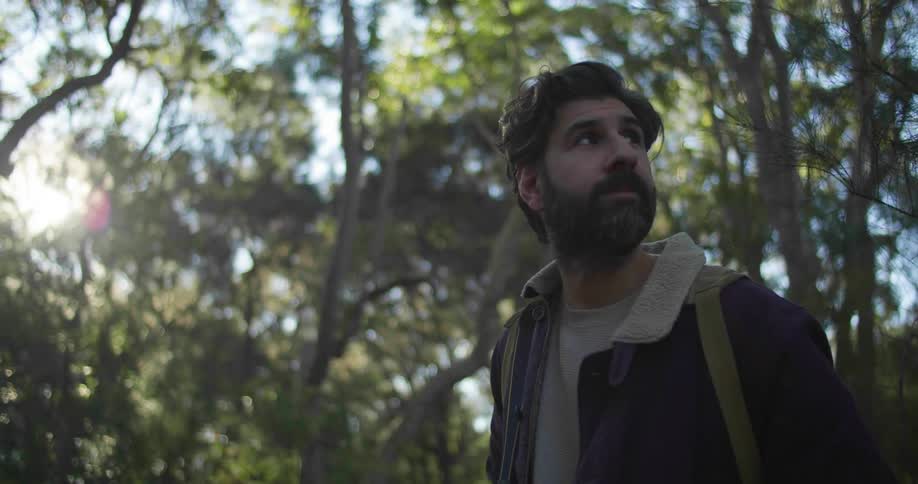 Young bearded man standing on the forest at morning