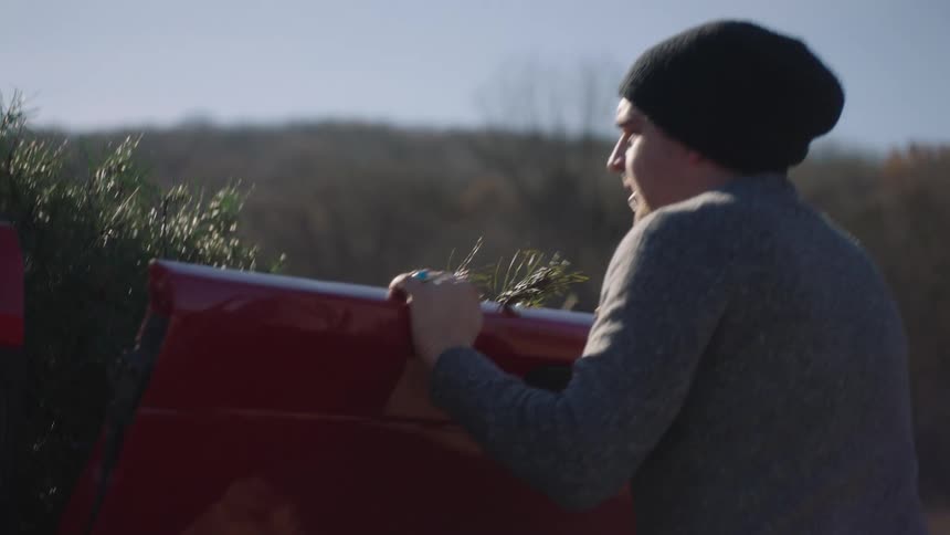 A man putting a tree in a truck