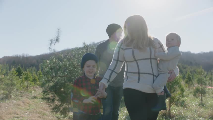 A woman carrying a baby and leading a child walks before a man pulling a tree in a wagon through a grassland during the day