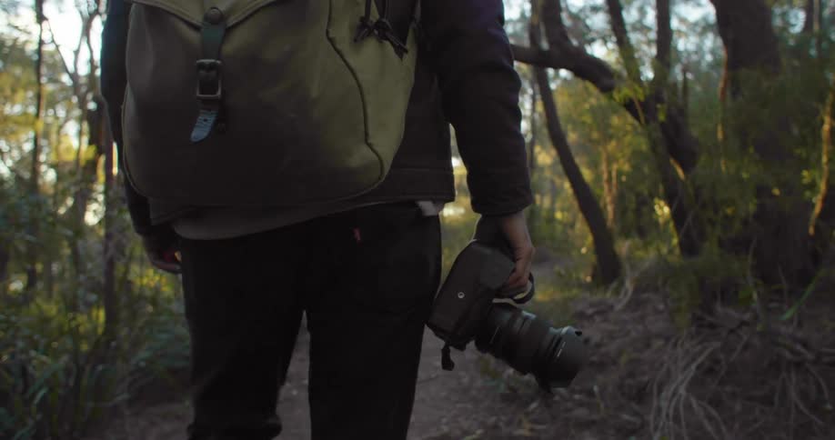 Photographer carrying a camera on a trail through the forest at morning