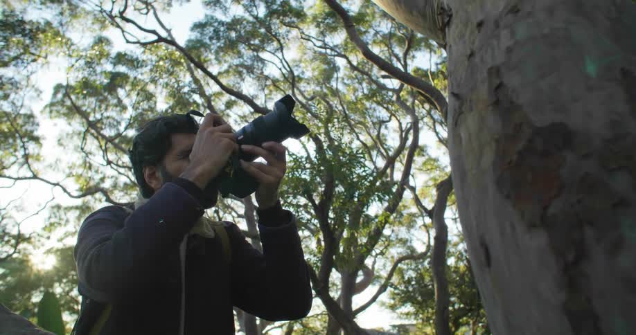 Bearded man takes photographs of the trunk of a tree with a camera at morning