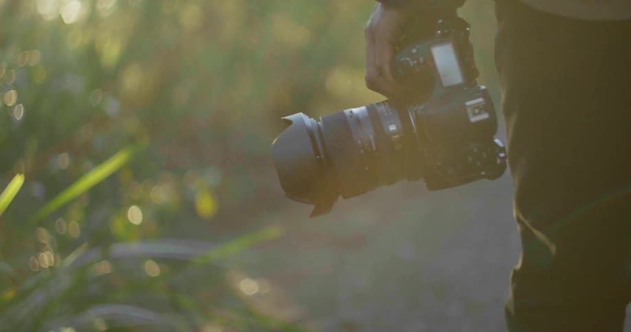 A person walking and holding a camera in a pathway surrounded by trees and plants