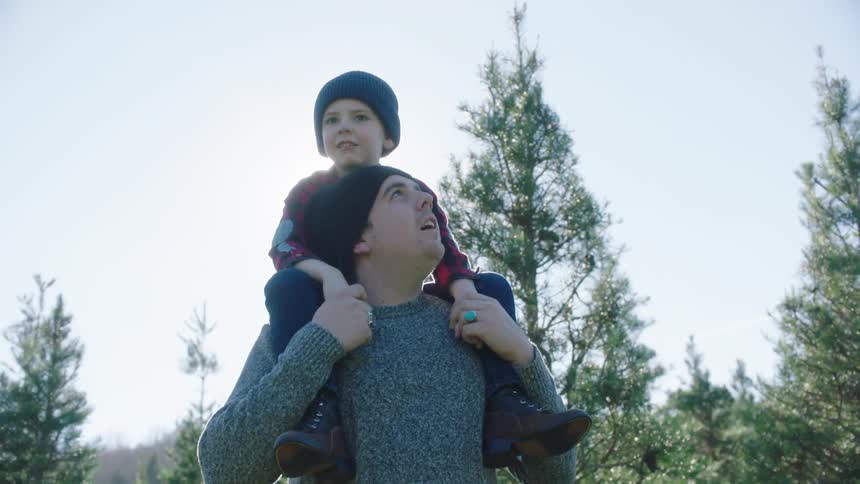 Father carrying son on his shoulders while walking on a trail trough the forest at morning
