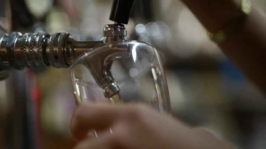 A person pulls the handle of a beer tap and carefully fills a glass with beer
