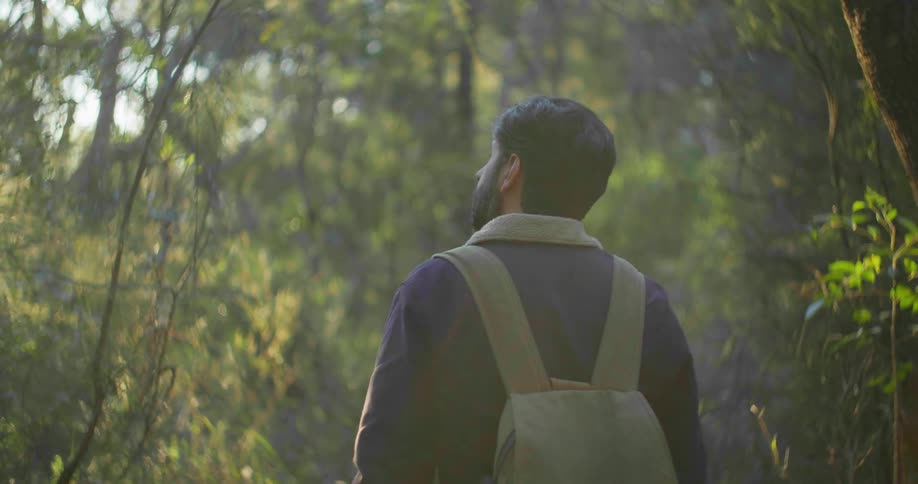 A man walks through a forest with a backpack on while the sun shines through the trees