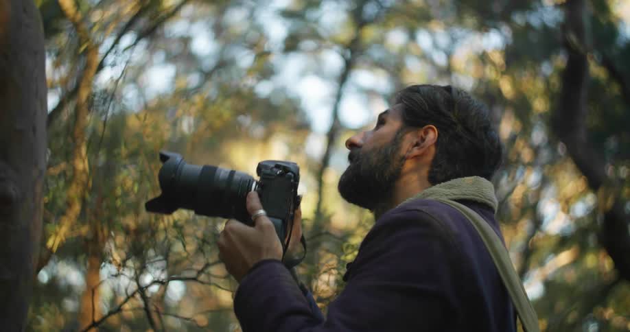 A photographer takes pictures in a forest