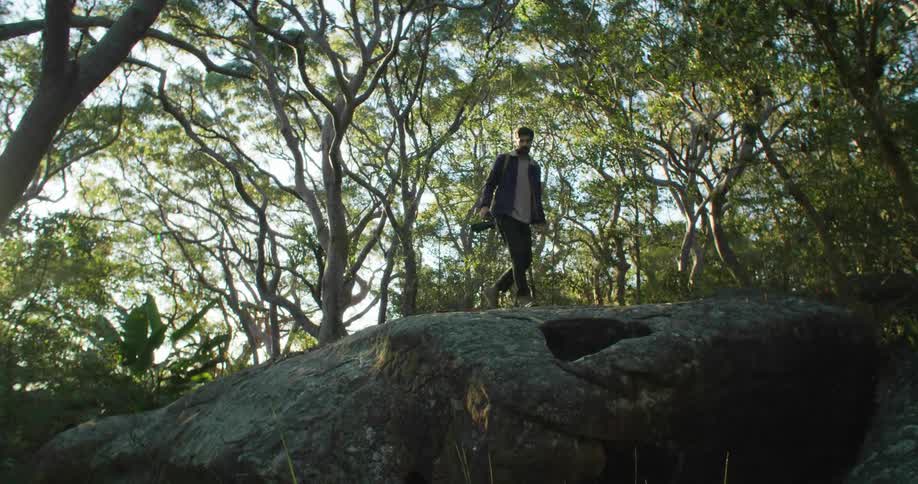 Young bearded man carrying a camera over a big boulder in the forest at sunset