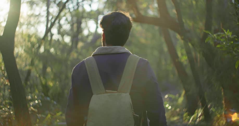 A man in a forest with a backpack with the sun the sky and clouds in the background