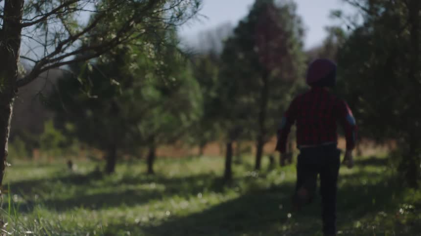 A boy runs in the grass at full speed near some trees in a forest area