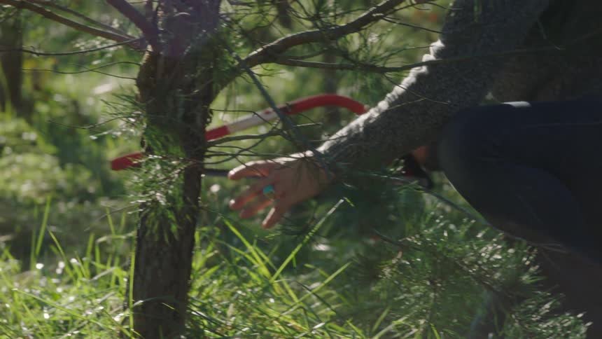 A man bends down with a saw to start cutting a small tree and a young boy jumps around beside him