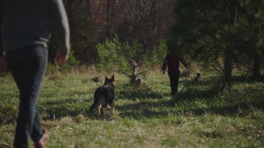 A dog runs after a young boy as the boy walks toward a forest as the boys dad follows