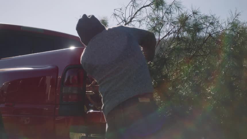 A man tries to load a chopped down tree into the back of his red pickup truck