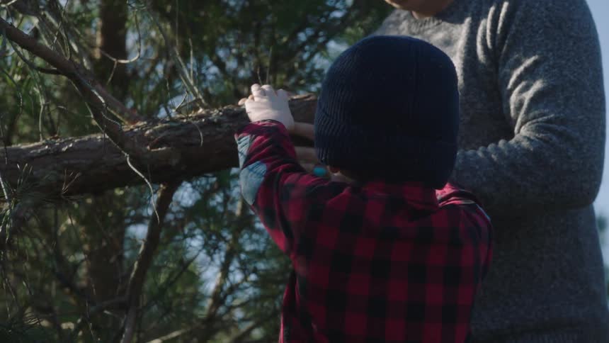 A man in a forest lifts up a big tree branch and his young son goes to help him