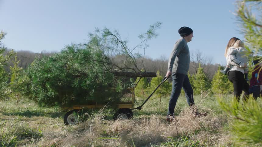 A woman carries a baby and walks through a field beside a child as a man follows behind them pulling a tree along on a wagon