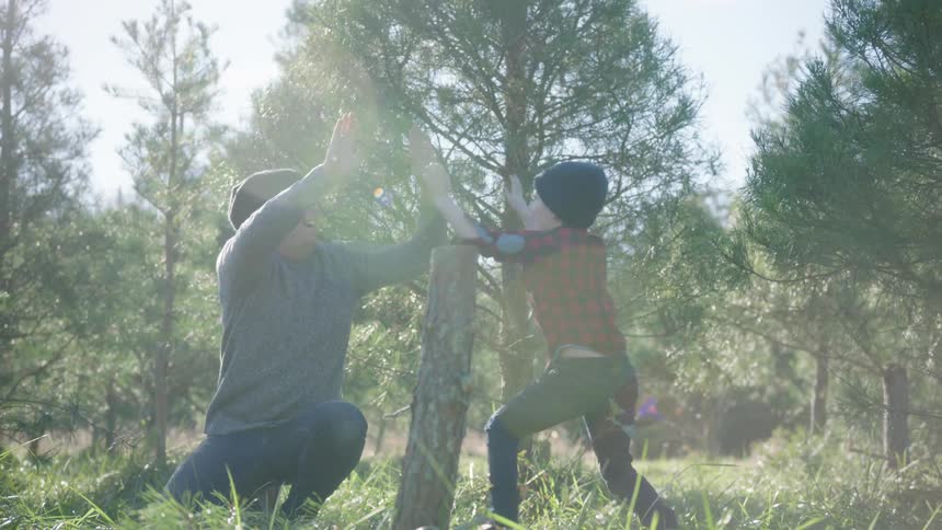 A boy jumps up and down as his father successfully cuts down a tree in the forest