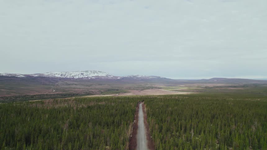 A narrow road through a forest on a cloudy day