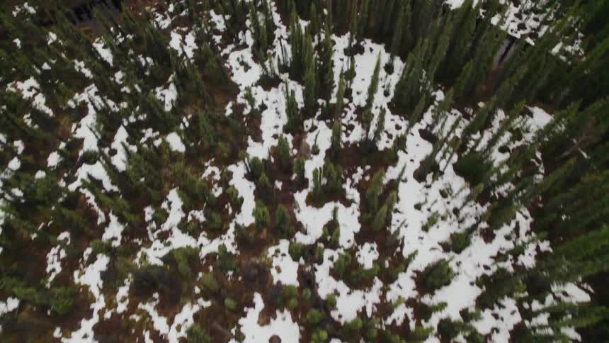 A river flowing through a forest with snow on the ground