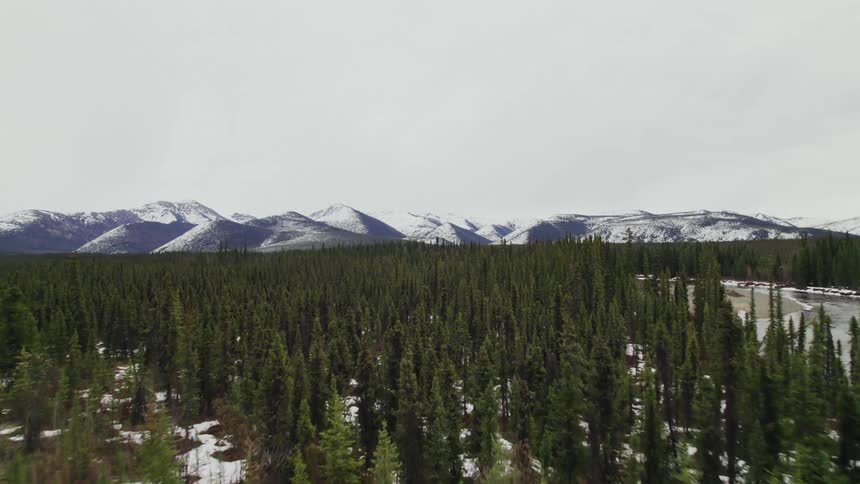 An aerial view of a forest in front of a mountain range