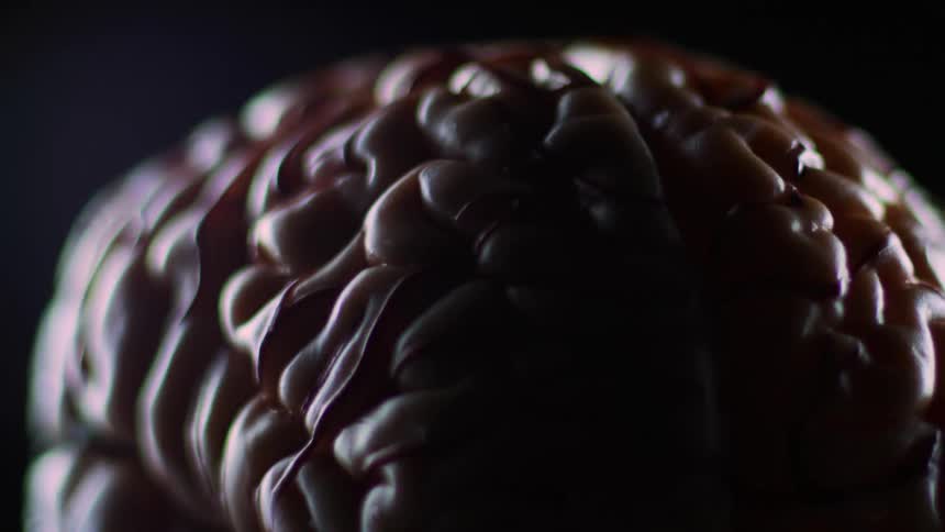 A close up of a brain