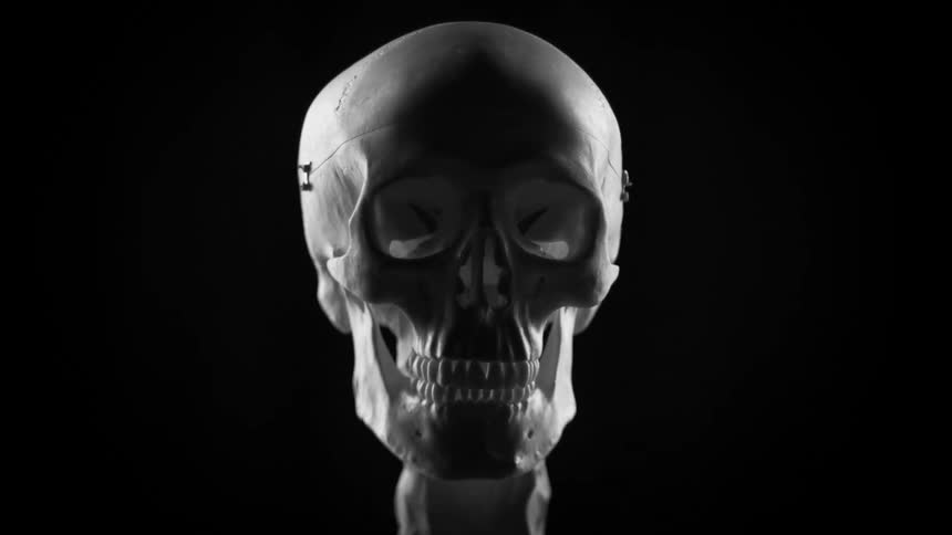 A human skull rotating around