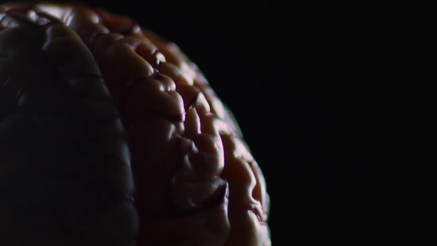 Model of brain rotates in dark room as light plays over crevices