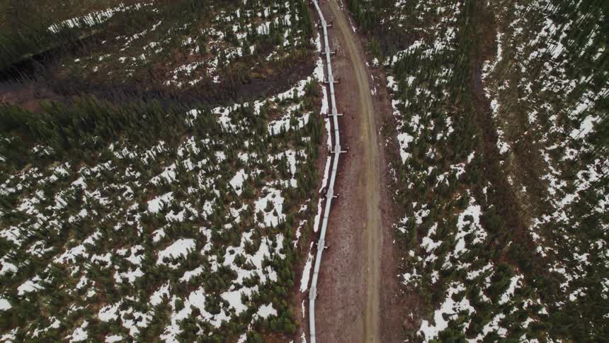 A pipeline with a dirt road beside it cuts through trees and snow
