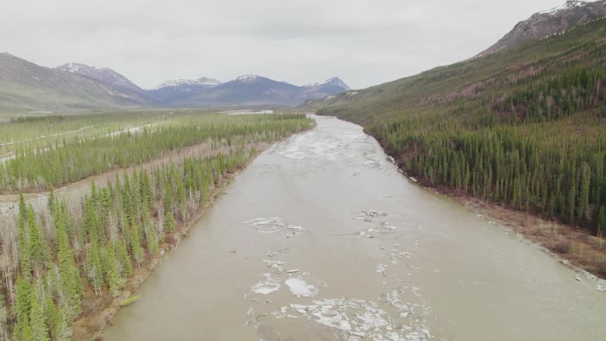 River flows past woods toward snow covered mountain under overcast sky